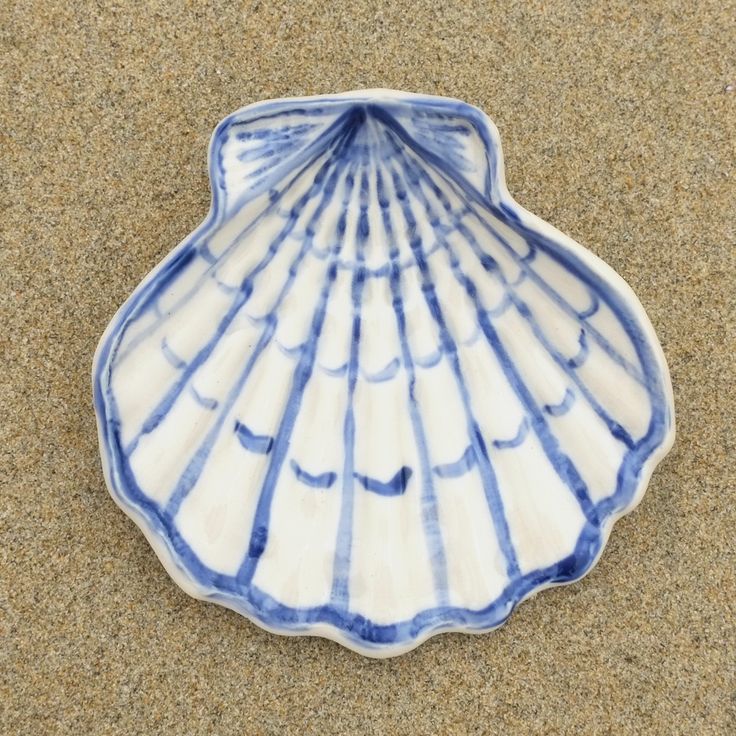 a blue and white scallop shell on the sand