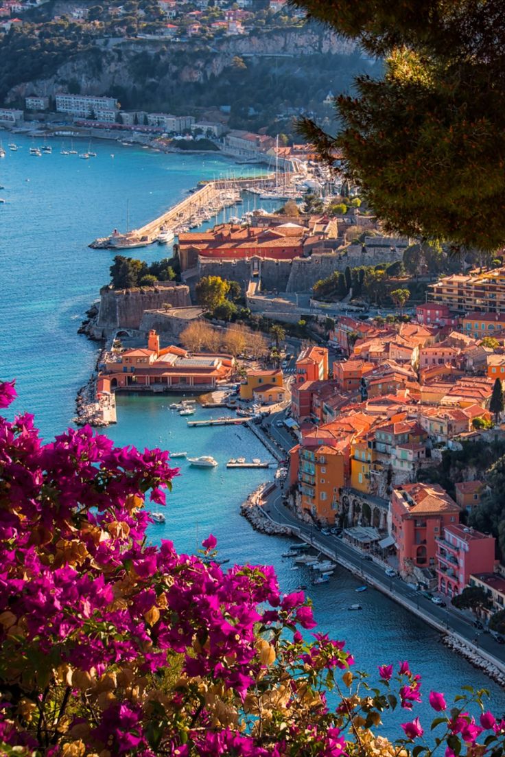 an aerial view of a city with boats in the water and purple flowers growing on the shore