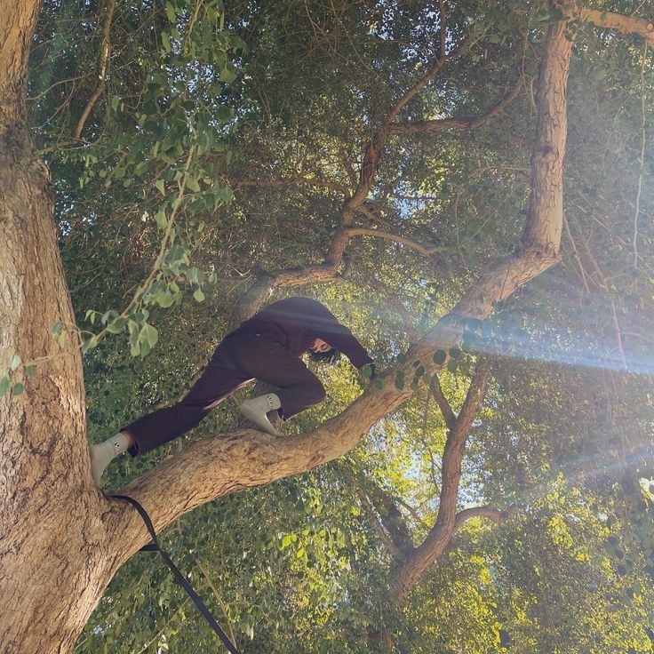 a man climbing up the side of a tree