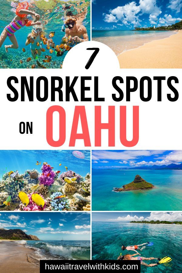 several pictures with the words 7 snorkel spots on oahuu in red