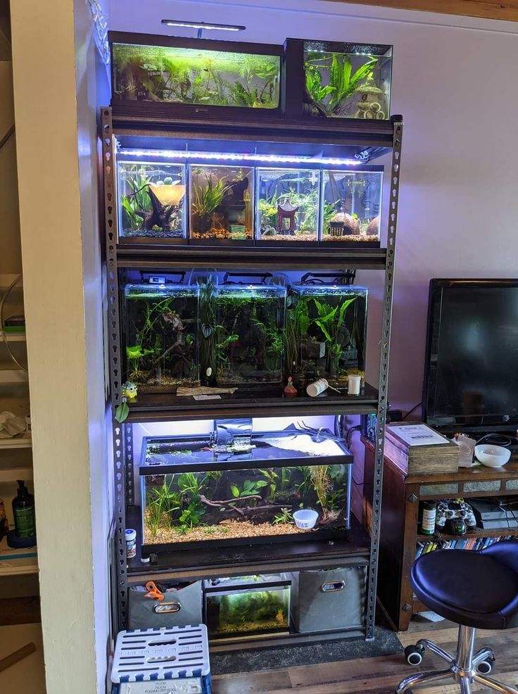 a fish tank filled with lots of plants and other items in a living room next to a computer desk