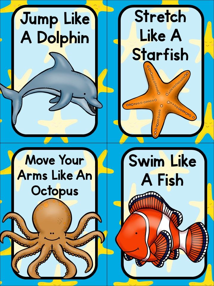 four cards with different types of animals and words on them, including an octopus, starfish