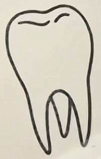 a drawing of a tooth on the wall