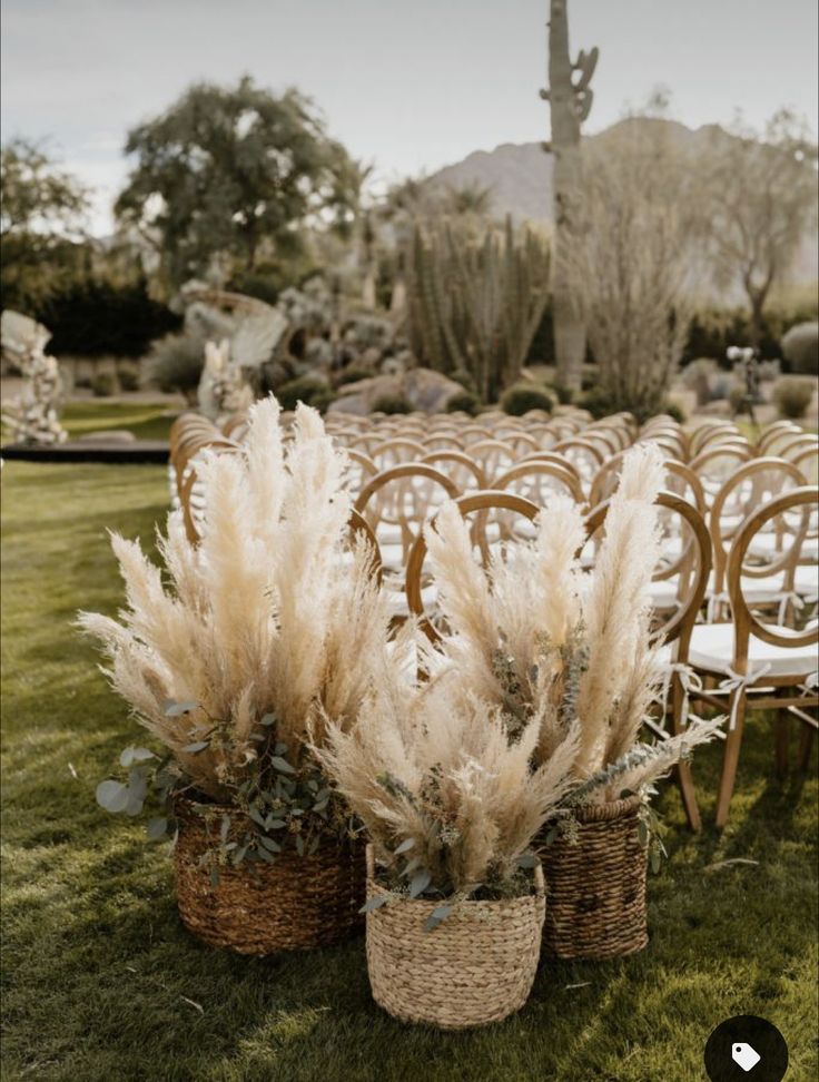 an outdoor ceremony with chairs and baskets filled with pamodia plants on the grass