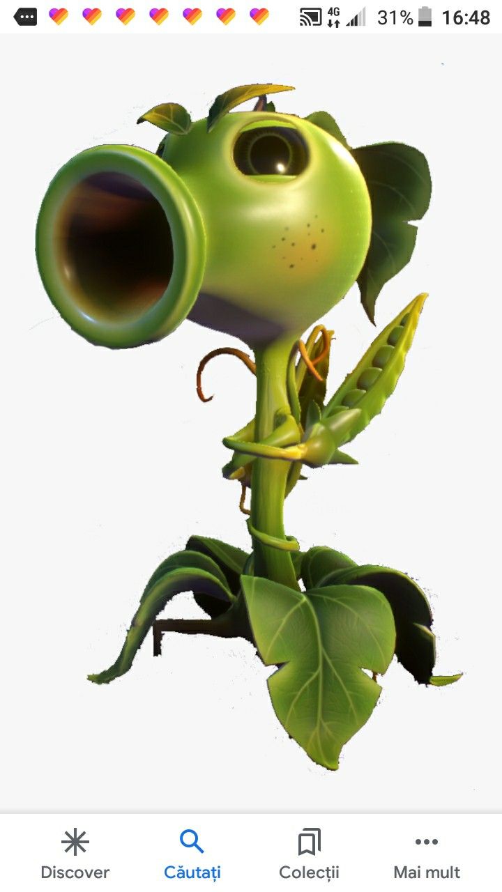 an image of a green plant with leaves on it's head and the words, i