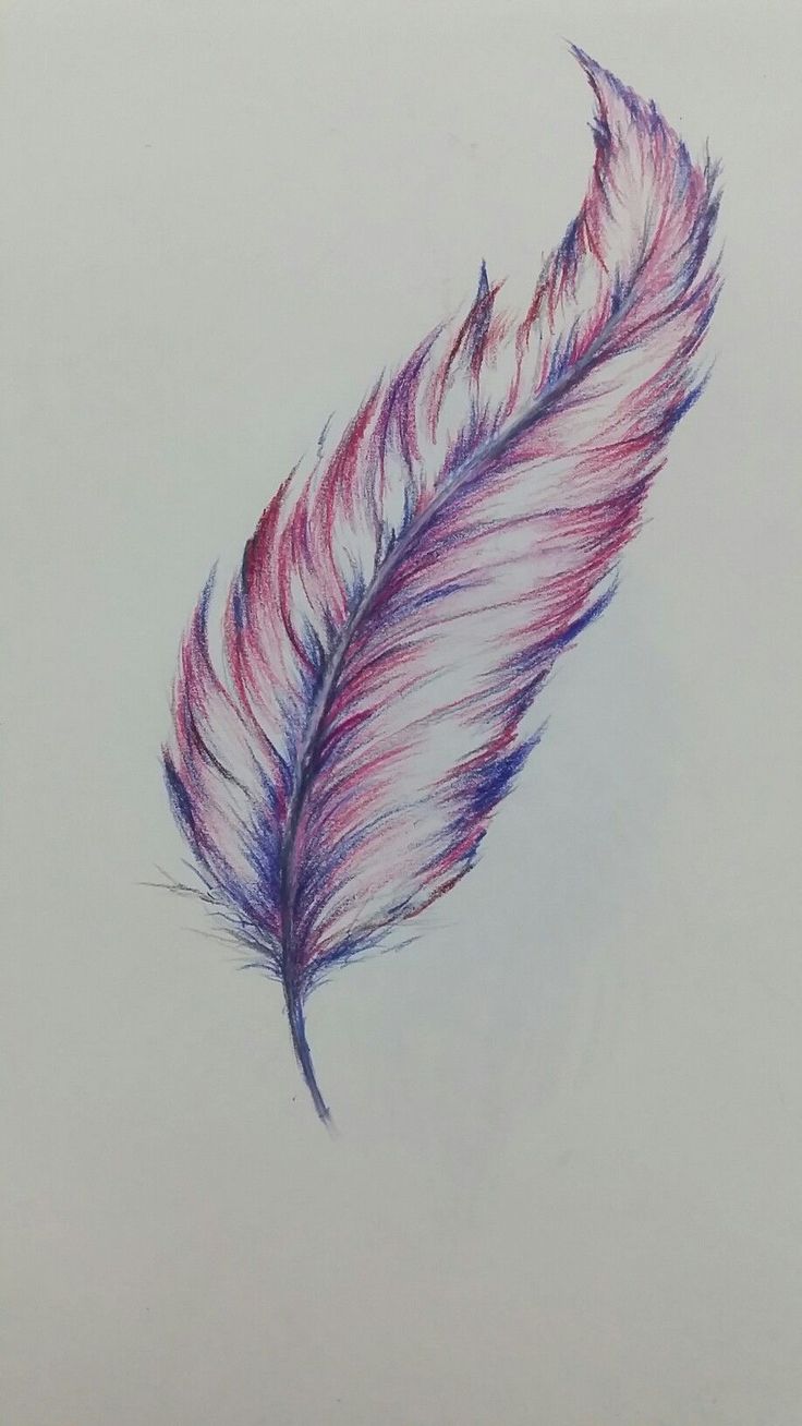 a drawing of a pink and blue feather