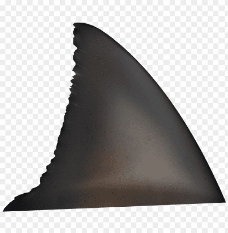 an object that looks like a shark fin on a transparent background, hd png