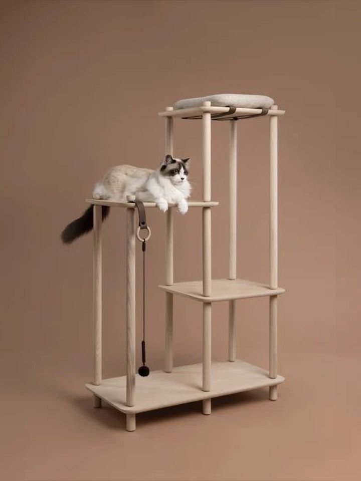 Papuk Connect Collection is Ready-To-Assemble Cat Furniture Module Design, Study Interior Design, Plywood Shelves, Cat Tower, Cat Room, Design Milk, Pet Furniture, Cat Tree, Cat Furniture