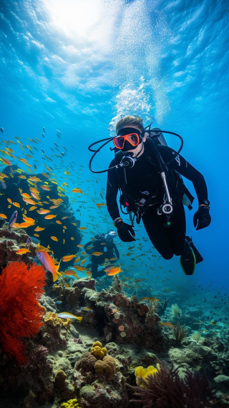 a scuba diver swims over a coral reef