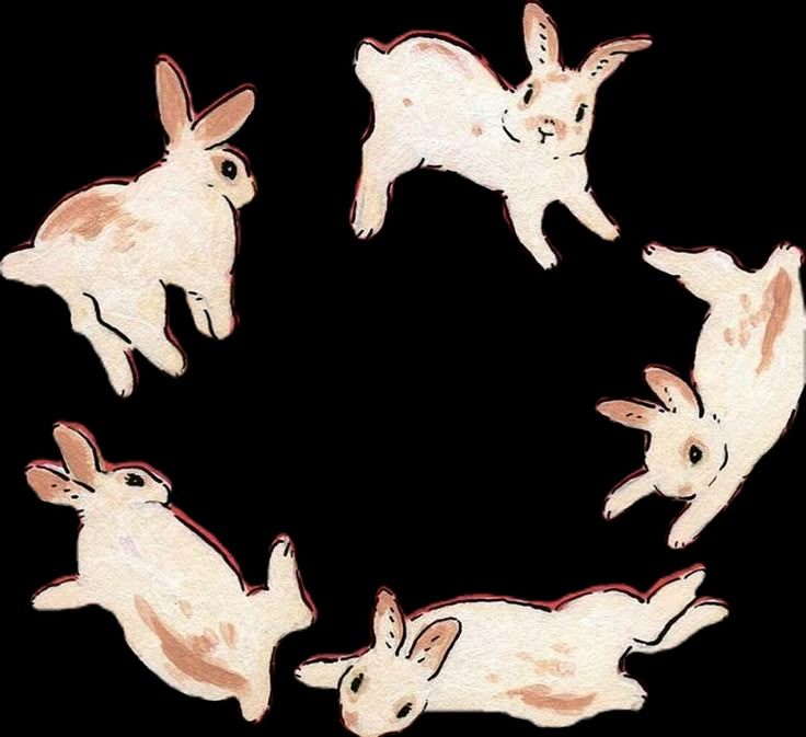 an image of four rabbits in the shape of a circle