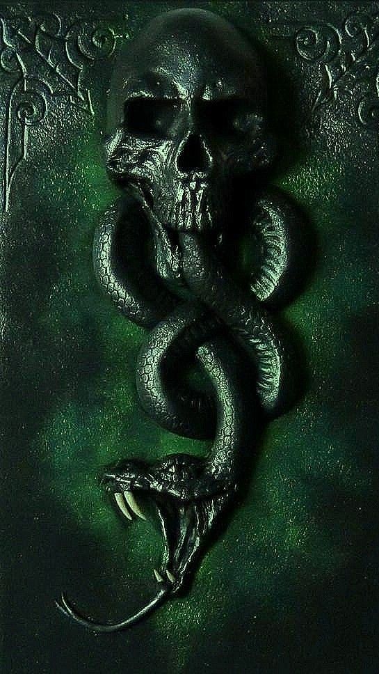 a black book with a skull and snake on it