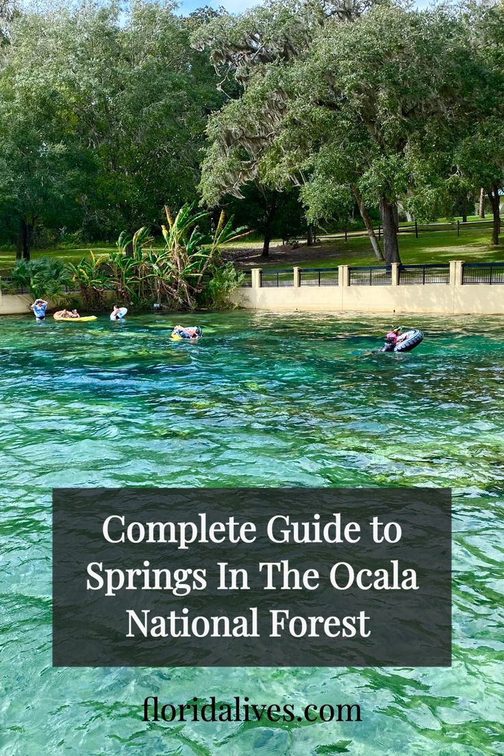 people swimming in the blue water with text overlay reading complete guide to springs in the ocalaa national forest