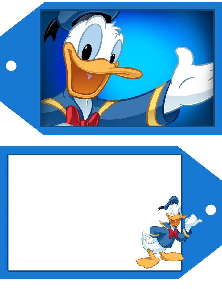 an image of donald the duck with his name tag