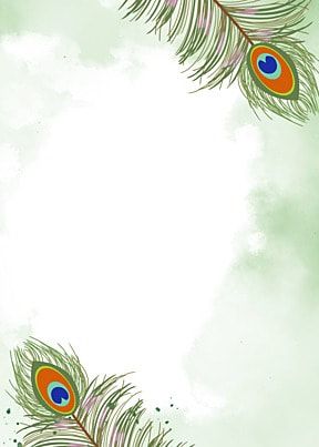 two peacock feathers on a green background with space for text