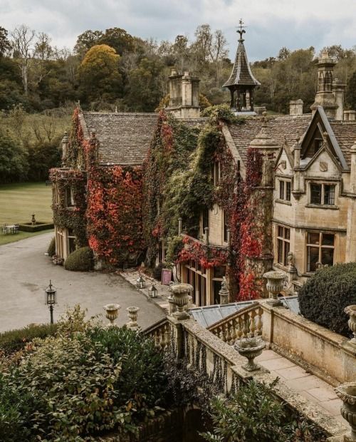 an old house with ivy growing all over it's walls and roof, surrounded by greenery