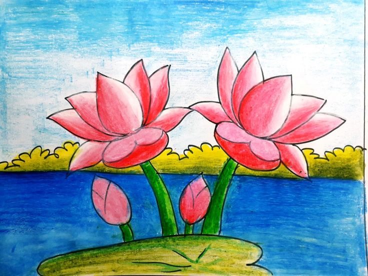 a drawing of two pink flowers sitting on top of a green plant in front of a body of water