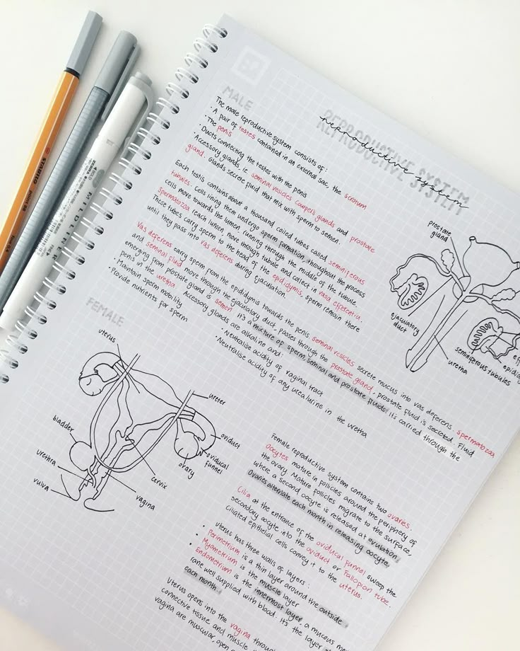 an open notebook with instructions on how to use a toothbrush and pen next to it