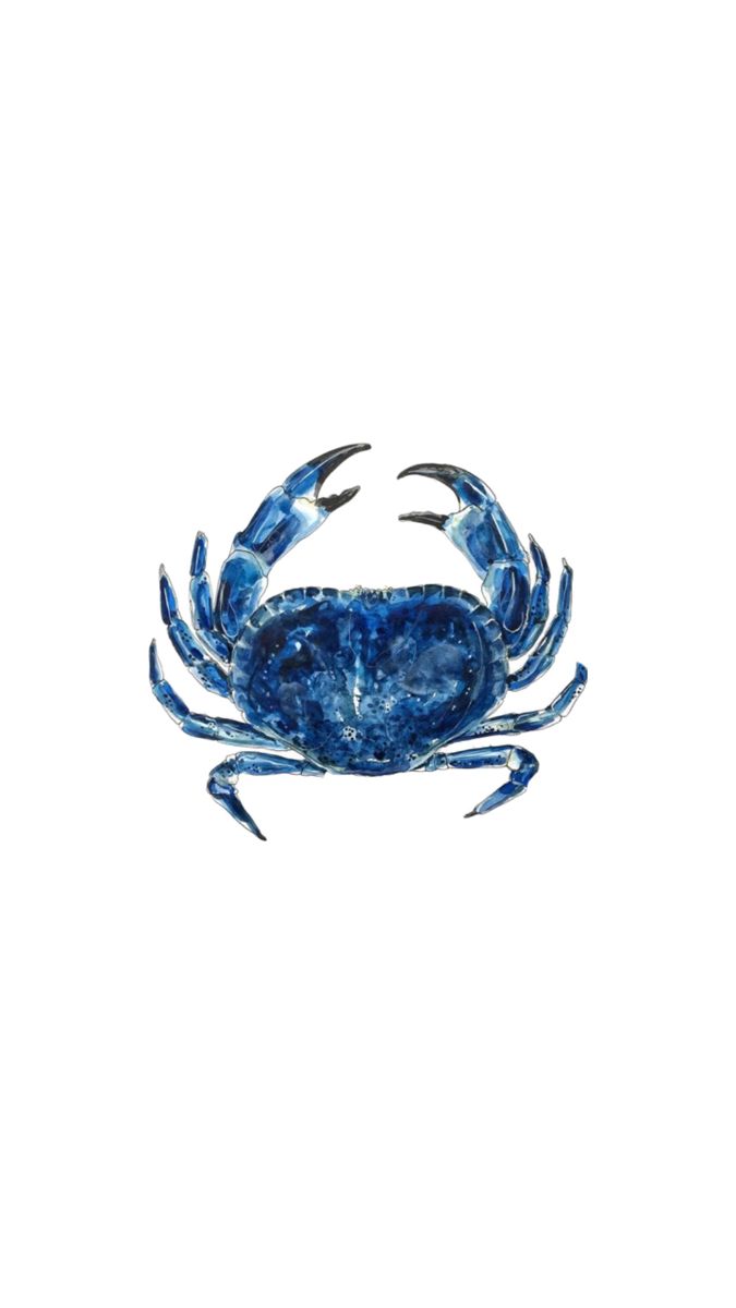 a blue crab on a white background