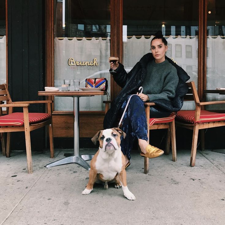 a person sitting on a chair with a dog in front of them