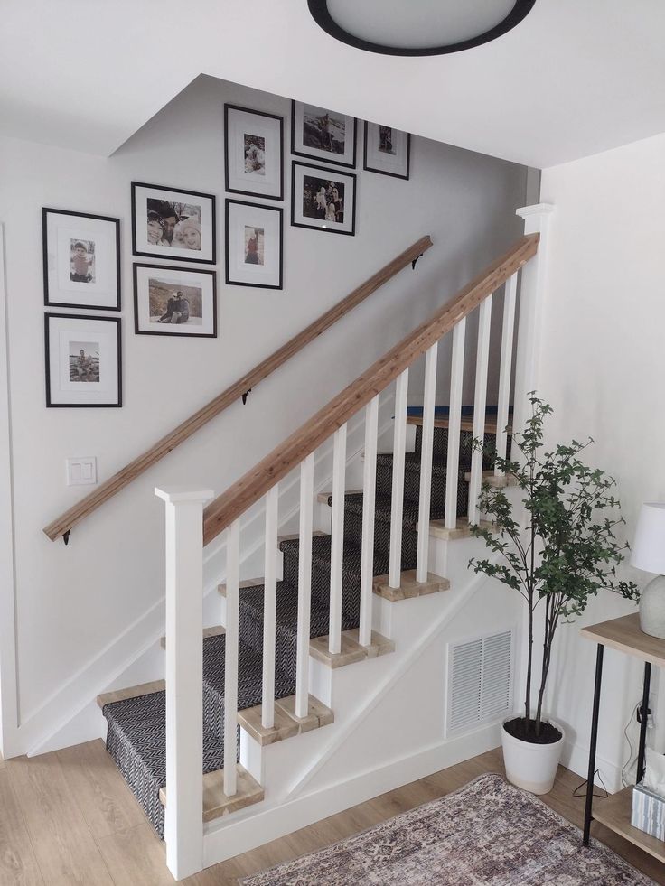 there is a staircase with pictures on the wall and a potted plant next to it