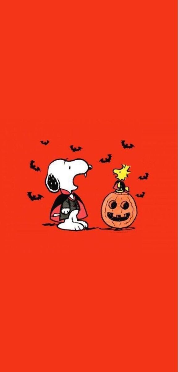 snoop and his pumpkin on red background