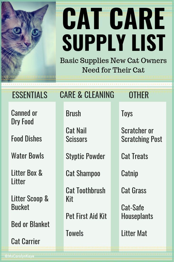 the cat care supply list is shown