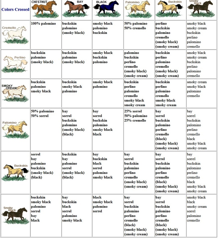 the horse breeds chart with their names