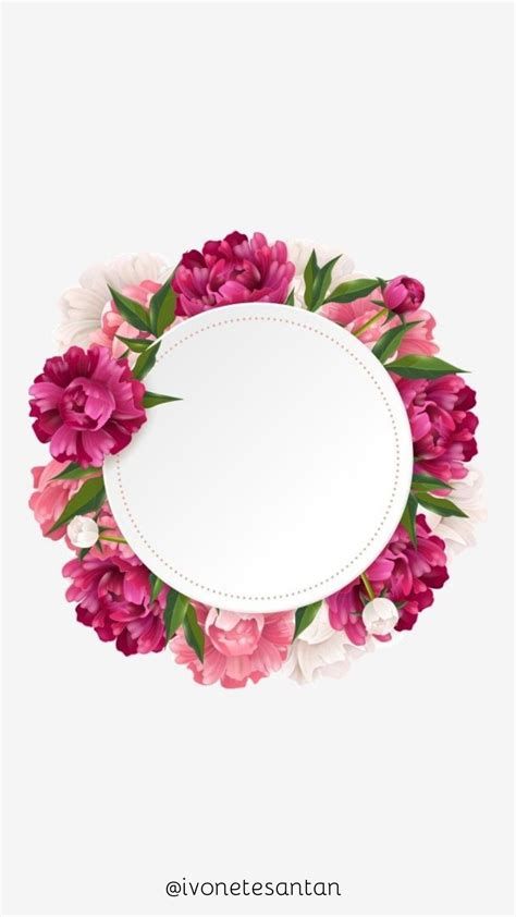 pink and white flowers with green leaves around the edge on a white background for your text