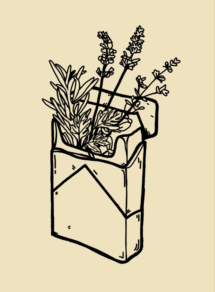 a black and white drawing of some plants in a vase