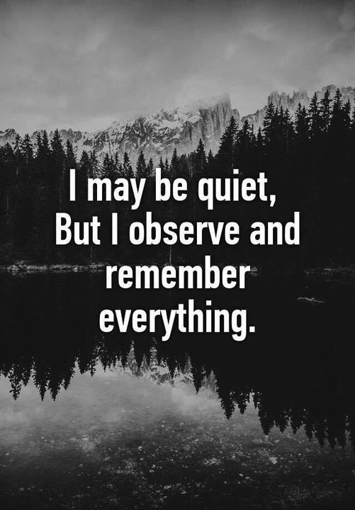 the quote i may be quiet, but i observe and remember everything