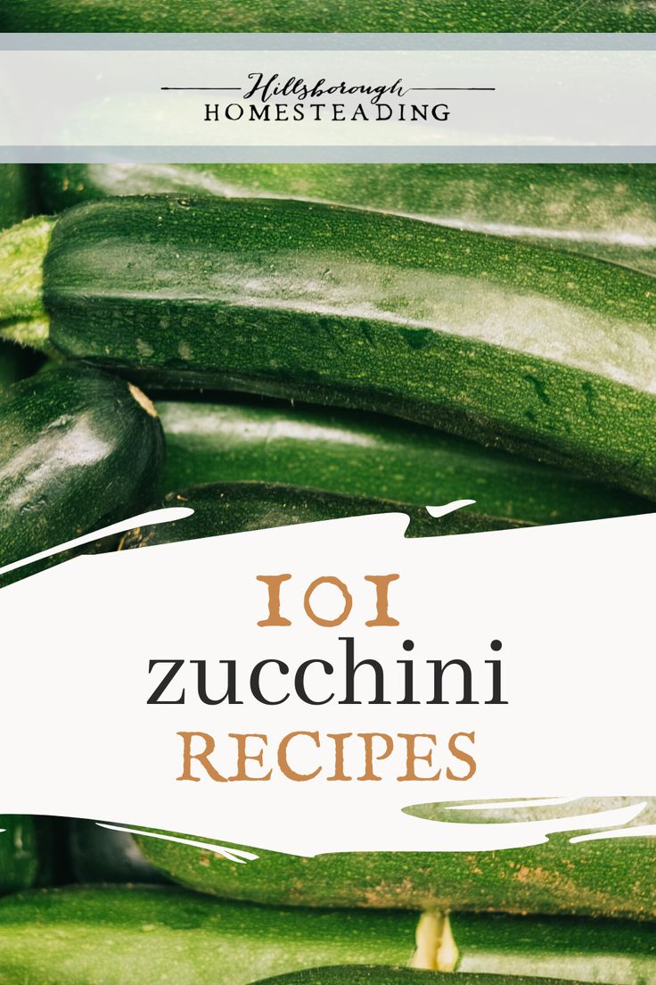 cucumbers stacked together with the words 101 zucchini recipes written on them