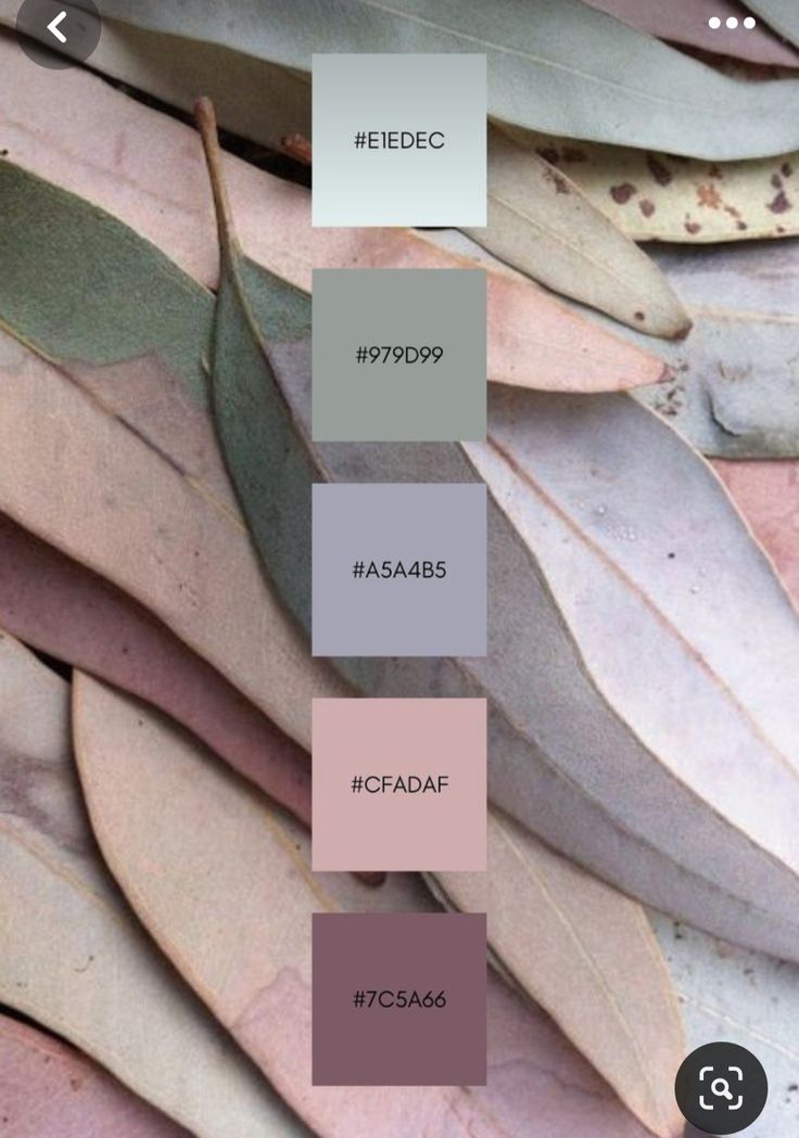 the color palette is different shades of grey, pink, and green on this plant