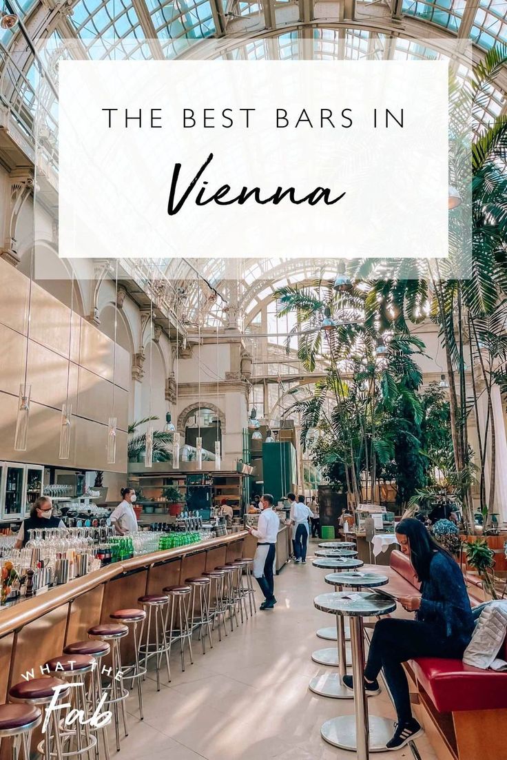 the best bars in vienna with text overlay