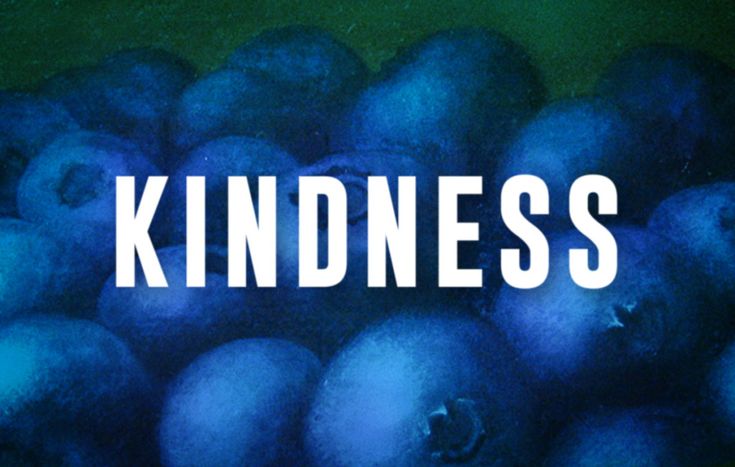 blueberries with the words kindness written in white over them on a green background