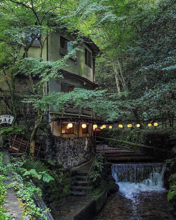 a house in the middle of a forest with stairs leading up to it's roof