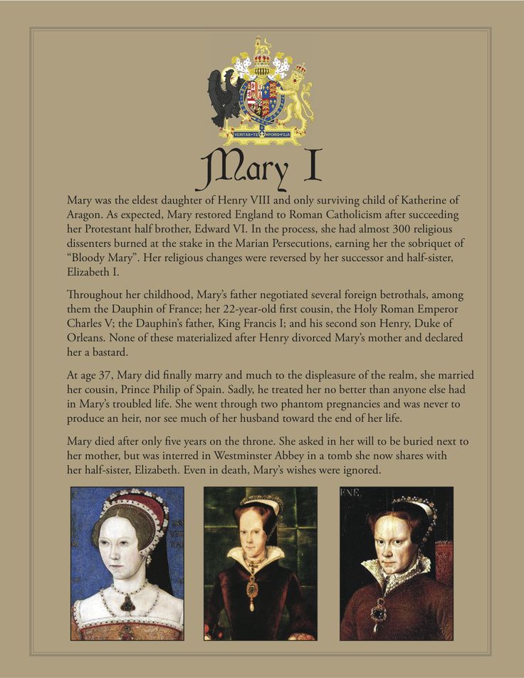 Mary I Queen Mary Tudor, European Royal Family Tree, Tudor Portraits, Mary I Of England, Henry The 8th, The Tudor Family, Katherine Of Aragon, Empire House, King Queen Princess