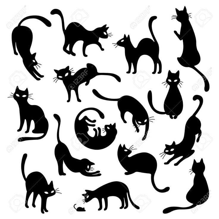 black silhouettes of cats on white background