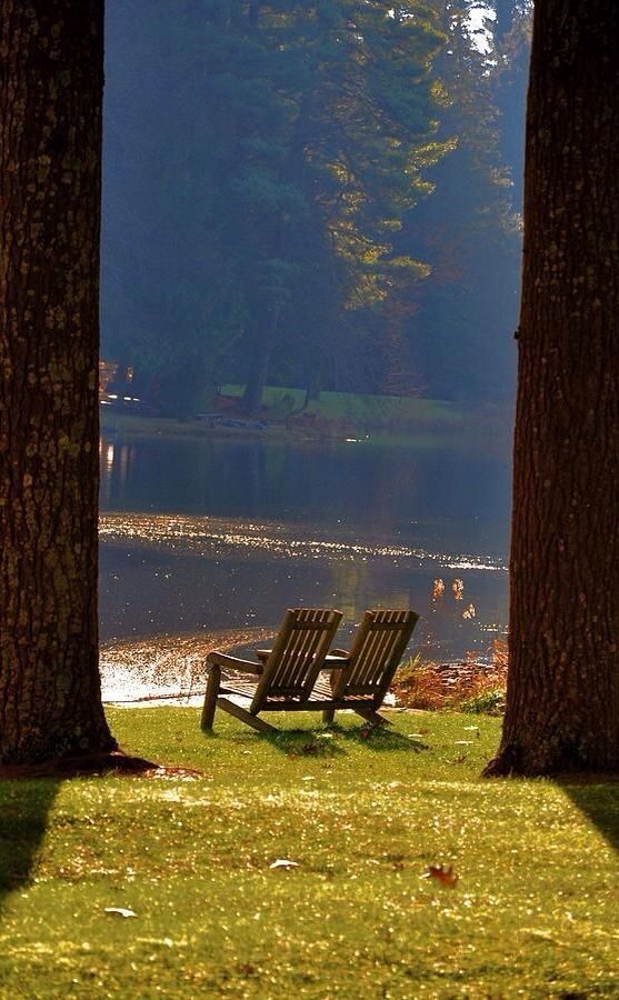 two park benches sitting in the grass near some trees and an area with water behind them