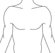 the outline of a man's torso and chest