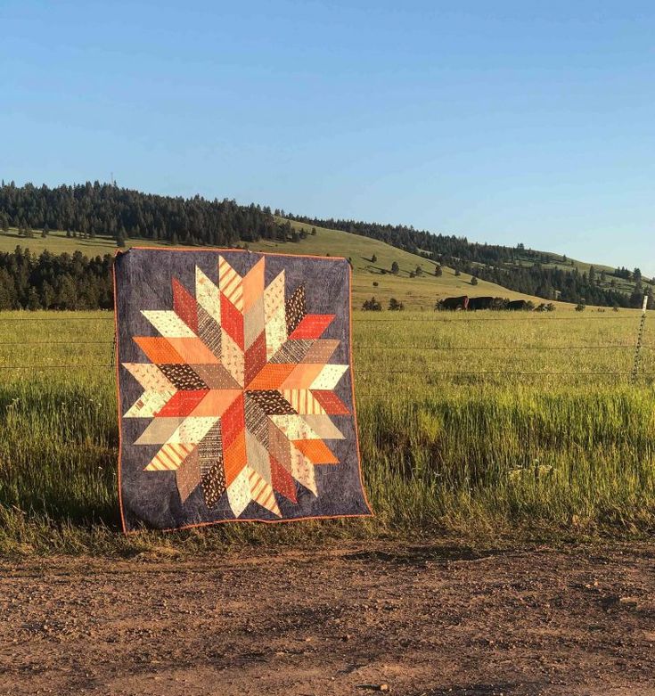 a quilted sunburst in the middle of a field