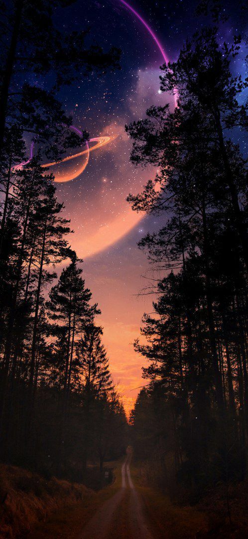 the night sky is filled with stars and planets as well as trees in the foreground