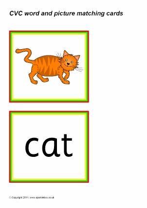 an image of a cat and letter matching cards