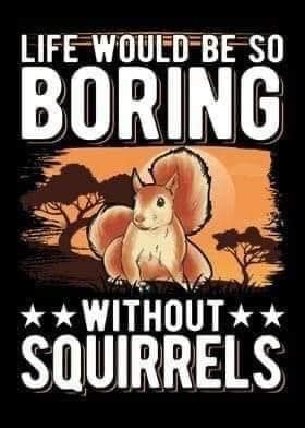 an image of a squirrel saying life would be so boring without squirrels