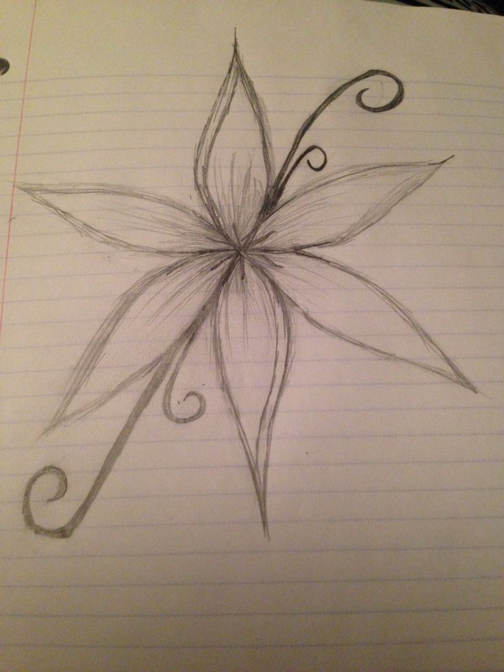 a drawing of a flower on lined paper