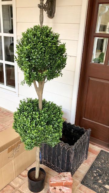 a boxwood topiary tree sitting in front of a house with boxes on the ground