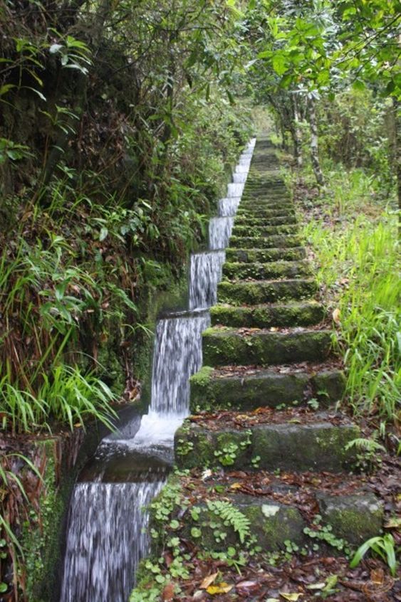 there are many steps that lead up to the waterfall in the forest with water cascading down them