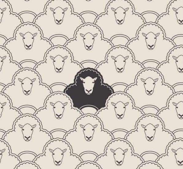 a herd of sheep standing next to each other in front of a white wallpaper