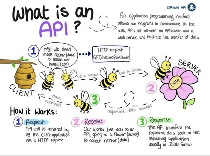 an image of what is an api? with bees and flowers around it, labeled in the following words