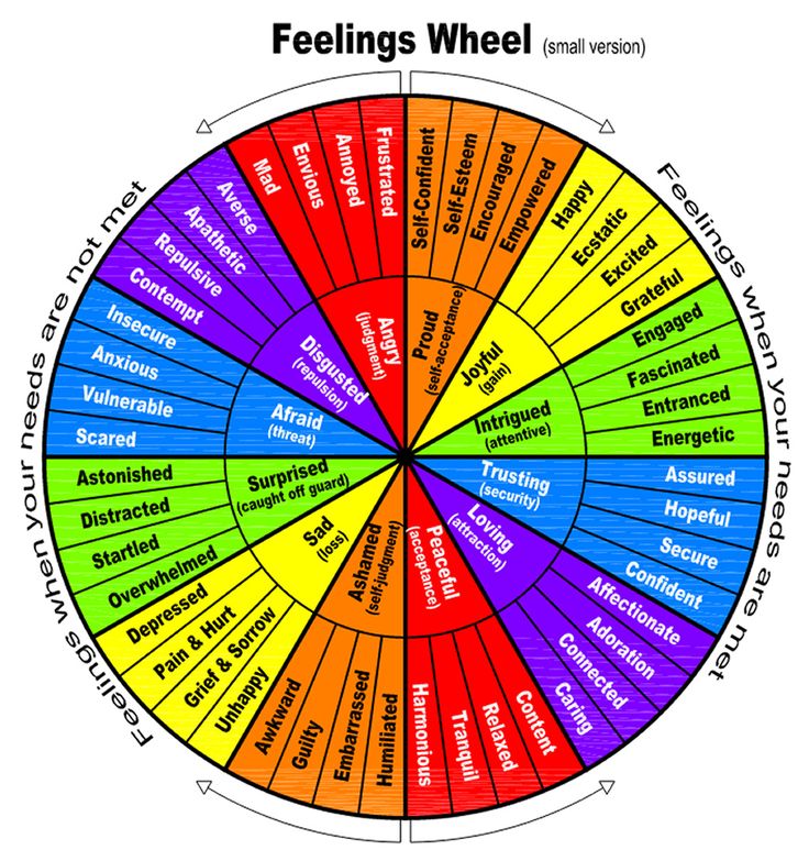 the wheel of feelings is shown with words in different languages