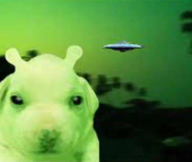 a dog is looking at the camera with an alien in the background